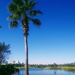 Meet your Posher, Lo